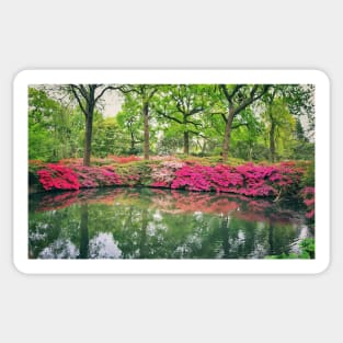 Isabella Plantation, London Sticker